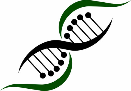 Dna Infinity Logo was constructed with the grid and the golden ratio to ensure the visual balance and harmony.のイラスト素材