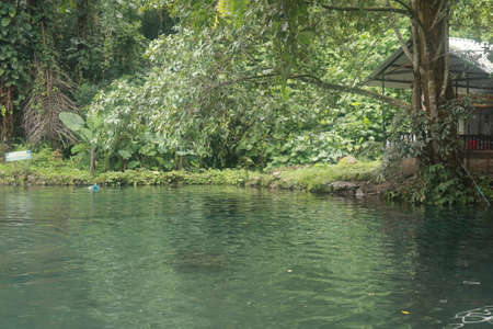 beautiful lake with treeの写真素材