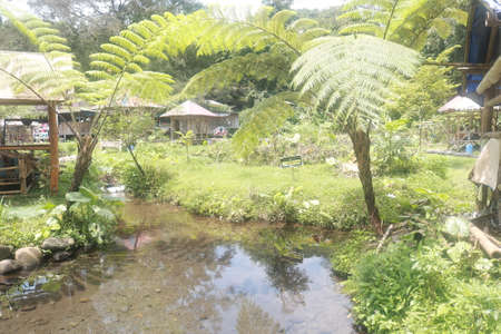 beautiful and clean riverの写真素材