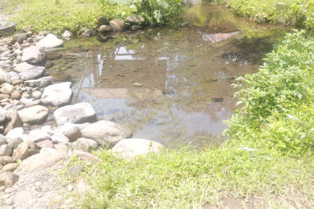 beautiful and clean riverの写真素材
