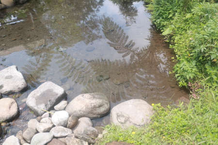 beautiful and clean riverの写真素材