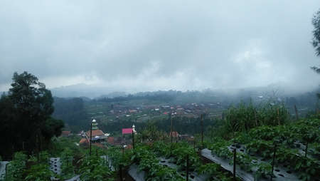 green and fresh moutain viewsの写真素材