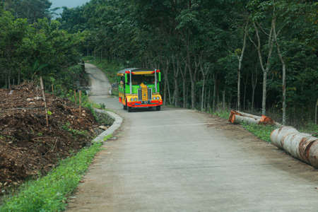 truck in the forest roadのeditorial素材