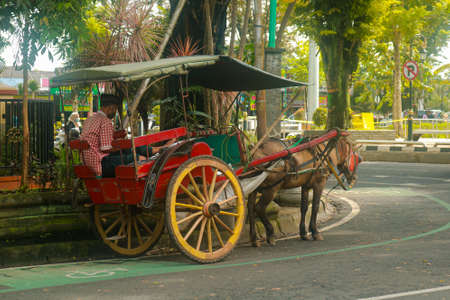 Indonesian traditional tranportation horse carriageのeditorial素材