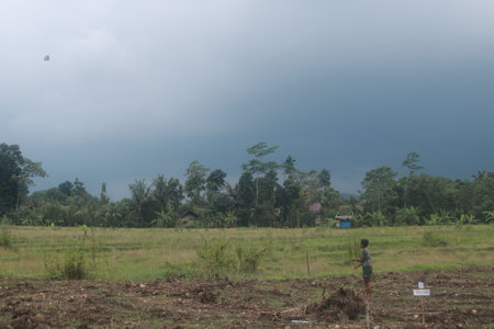boy flying kite in the middle of fieldのeditorial素材