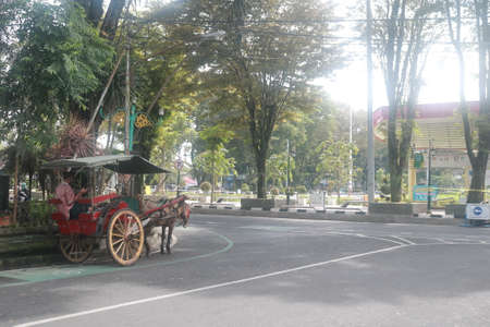 dokar traditional transportation in asia pulled by horseのeditorial素材