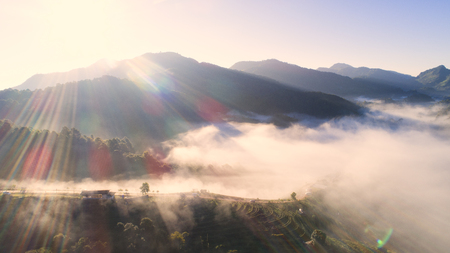 Top view of Tea plantation 2000 and the mist that floated on the mountain at Doi Ang Khang , Chaing Mai, Thailand. Beautiful Landscape , Aerial viewの写真素材