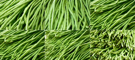 fresh long beans backgroundの写真素材