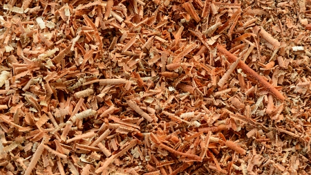 the wood shavings, sawdust backgroundの写真素材