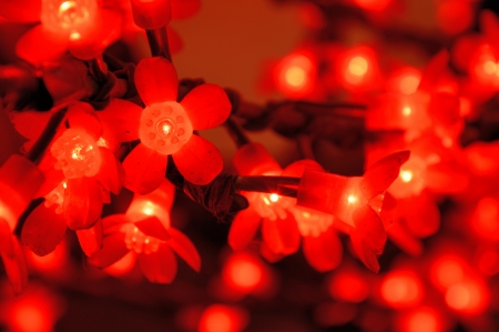 the glowing red flower lightbulbs for christmas decoration with defocused background