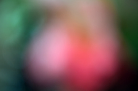 abstract soft pink bokeh backgroundの写真素材