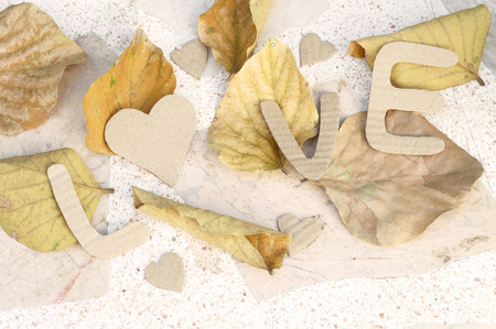 paper word love on dry leaf background, valentine's backgroundの写真素材