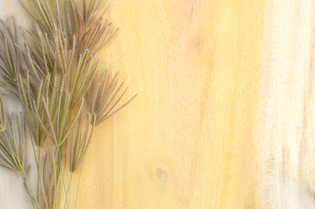 wood background with grassの写真素材