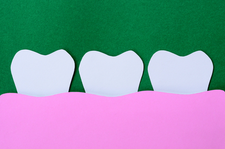 dental paper cut, tooth and gumの写真素材