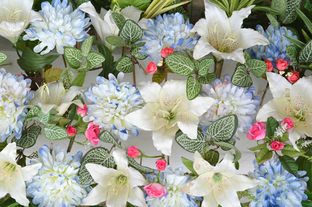 white flowers use for backgroundの写真素材