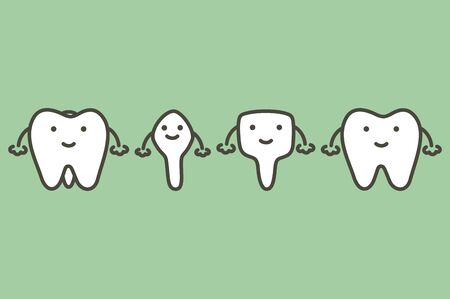 type of tooth ( incisor, canine, premolar, molar ) - dental cartoon vector flat style cute character...