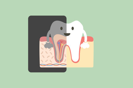 Dental x-ray, tooth holding x-ray film that showing the internal structure of the teeth - dental cartoon vector flat style cute character for designのイラスト素材
