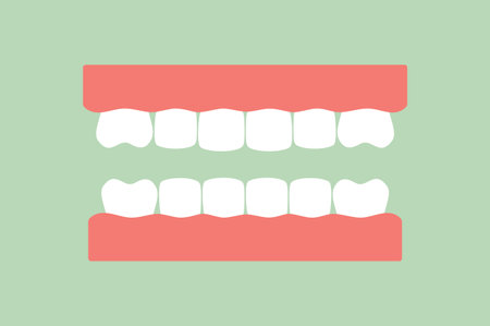 model tooth of healthy teeth - dental cartoon vector flat style cute character for designのイラスト素材