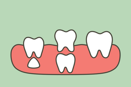 teeth are growing up from the gum by permanent tooth located below primary tooth, first tooth - dental cartoon vector flat style cute character for designのイラスト素材