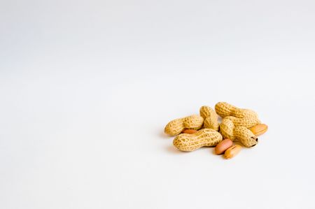 peanutの写真素材