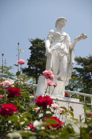 flower gardenの写真素材