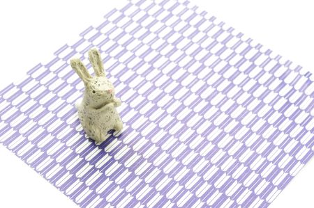 rabbitの写真素材