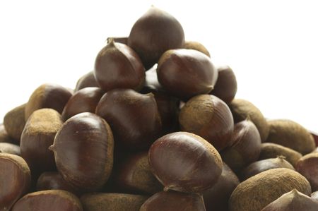 Chestnutの写真素材