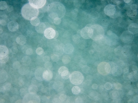 speckles of sea