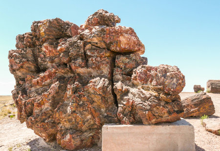 Closeup view of petrified wood in Petrified Forest National Parkの写真素材