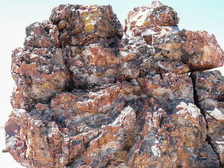 Closeup view of petrified wood in Petrified Forest National Parkの写真素材