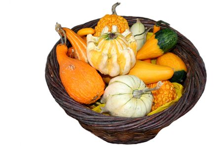 pumpkin in basket on white backgroundの写真素材