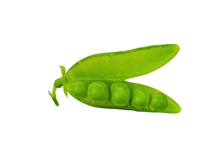 pod of pea on white backgroundの写真素材