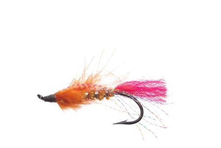 imitation of artificial fly on metal hookの写真素材
