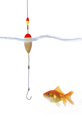 gold fish and empty hook on white backgroundの写真素材