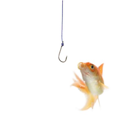 gold fish and empty hook on white backgroundの写真素材