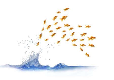 jumping out shoal of fish from waterの写真素材