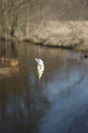 little wobbler for fishing a predatory fish 