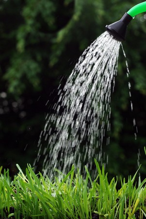 pouring from watering can on grass waterの写真素材