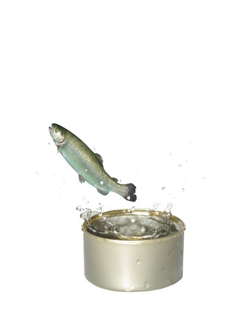 jump of trout from downsの写真素材