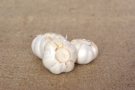 garlic on background of juteの写真素材