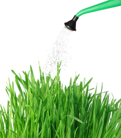 pouring from watering can on grass waterの写真素材