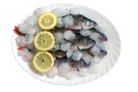 fresh fish in ice on a white backgroundの写真素材