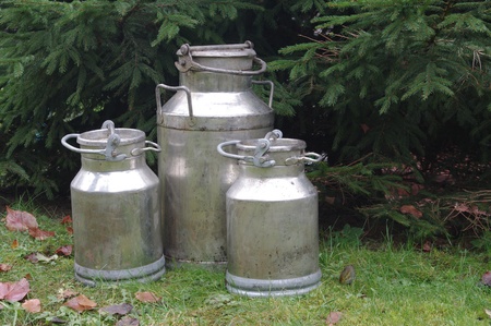 they three metal cans on milk on background overgrewの写真素材
