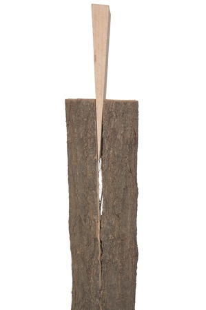 froth on white background wooden splitting wedgeの写真素材