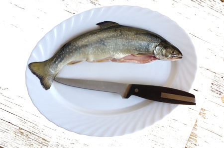 trout on white plate