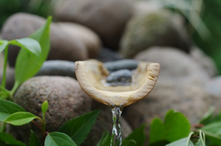 brook crystal waterの写真素材