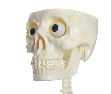  human skull with eyes on white background