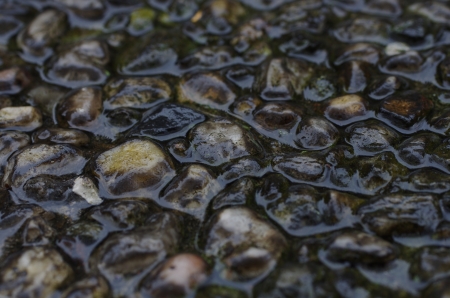 background from wet stones