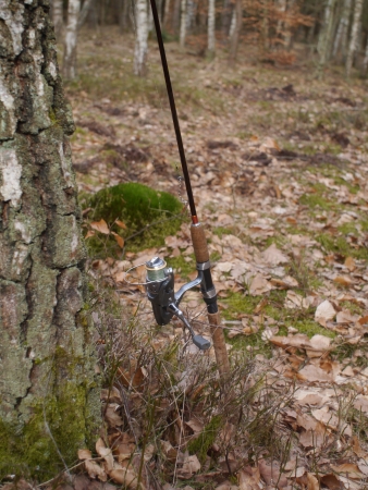 fishing-rod with spinning-wheel on forest backgroundの写真素材