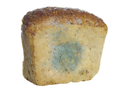fragment of not fresh mouldy breadの写真素材
